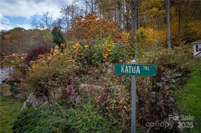 16 Katua Trl Unit 16, Maggie Valley, NC 28751 - photo 11