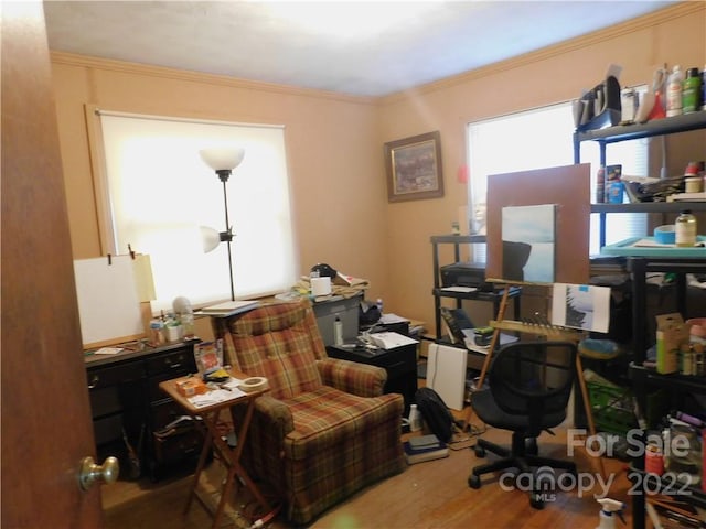 office featuring ornamental molding and hardwood / wood-style flooring