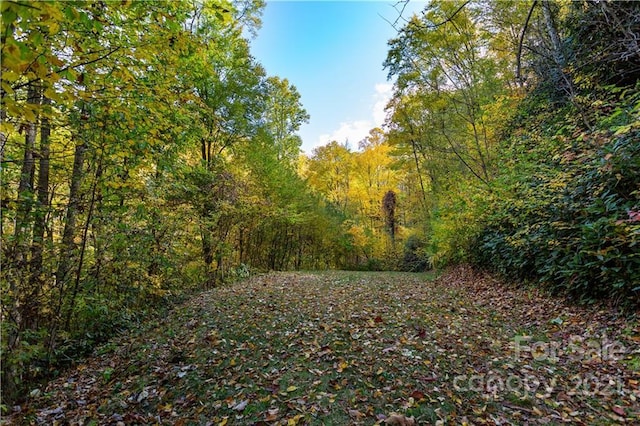 Listing photo 2 for LOT13 Black Rock Rd Unit 13, Qualla NC 28719