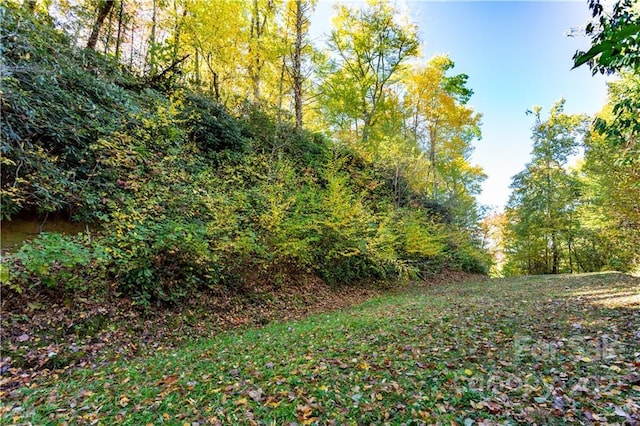 Listing photo 3 for LOT13 Black Rock Rd Unit 13, Qualla NC 28719