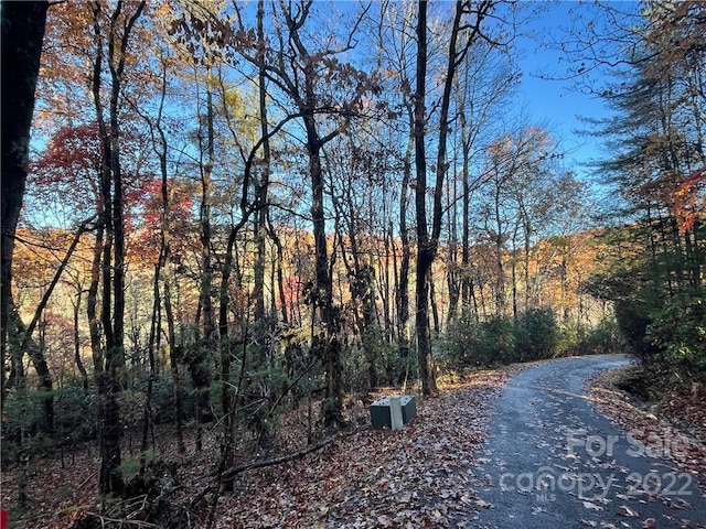 Listing photo 2 for 9999 Sassafras Rd Unit 4, Cedar Mountain NC 28718