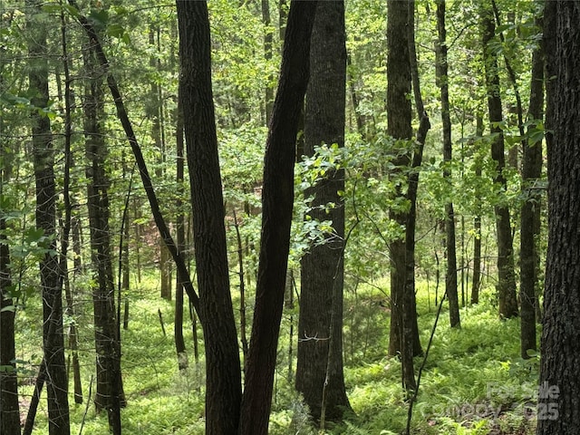 9999 Sassafras Rd Unit 4, Cedar Mountain, NC 28718