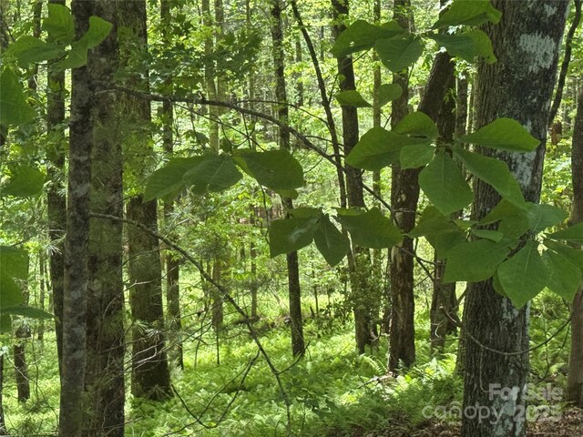 9999 Sassafras Rd Unit 4, Cedar Mountain, NC 28718