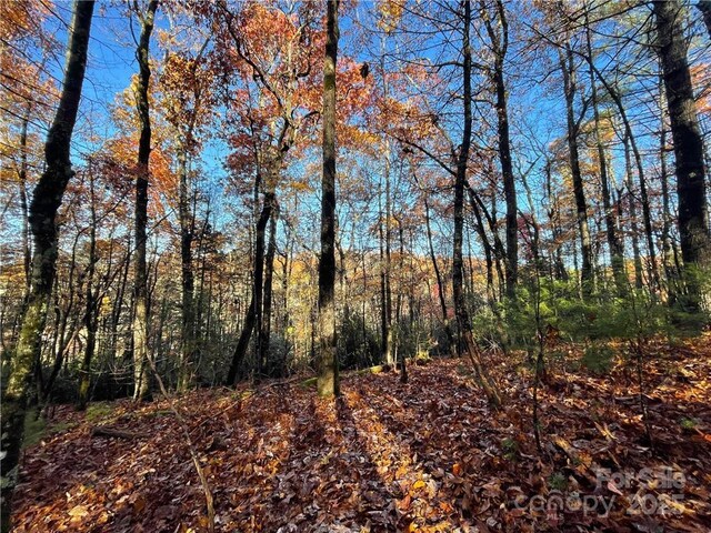 9999 Sassafras Rd Unit 4, Cedar Mountain, NC 28718