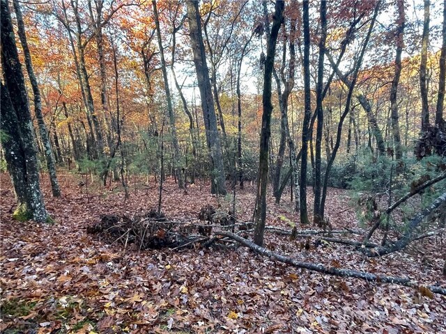 9999 Sassafras Rd Unit 4, Cedar Mountain, NC 28718