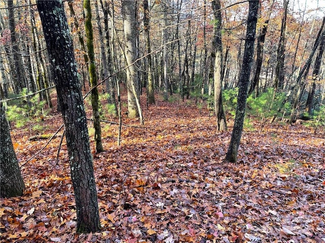 9999 Sassafras Rd Unit 4, Cedar Mountain, NC 28718