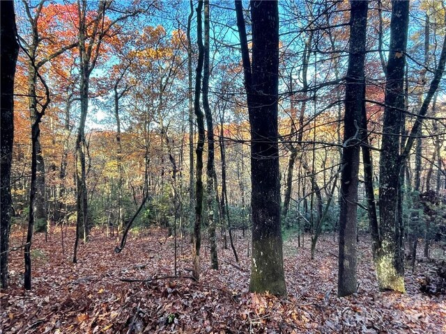 9999 Sassafras Rd Unit 4, Cedar Mountain, NC 28718