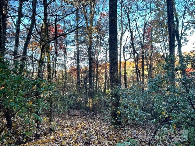 9999 Sassafras Rd Unit 4, Cedar Mountain, NC 28718
