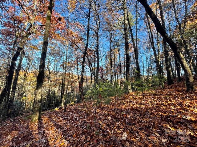 9999 Sassafras Rd Unit 4, Cedar Mountain, NC 28718