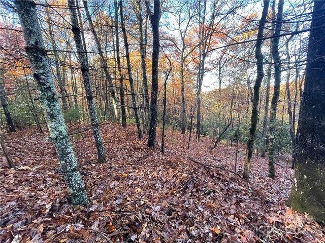 9999 Sassafras Rd Unit 4, Cedar Mountain, NC 28718