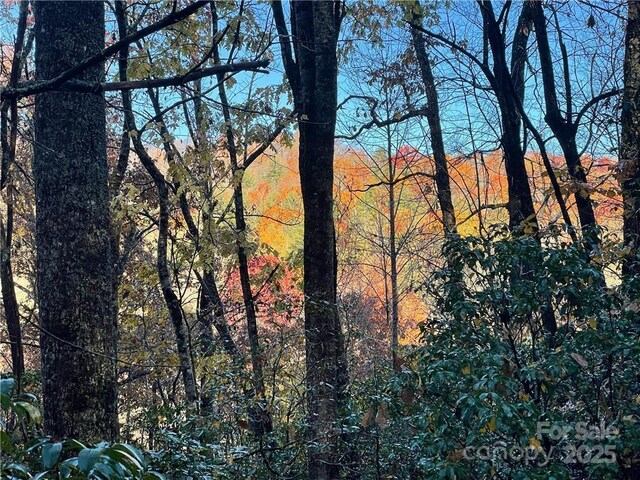 9999 Sassafras Rd Unit 4, Cedar Mountain, NC 28718