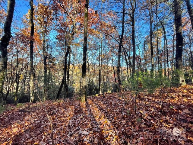 9999 Sassafras Rd Unit 4, Cedar Mountain, NC 28718