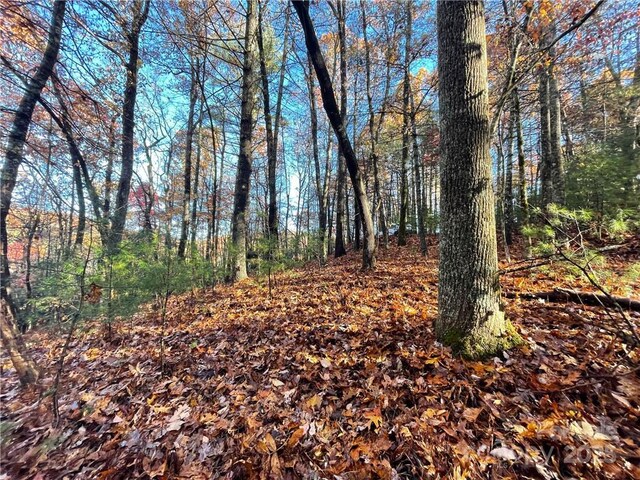 9999 Sassafras Rd Unit 4, Cedar Mountain, NC 28718