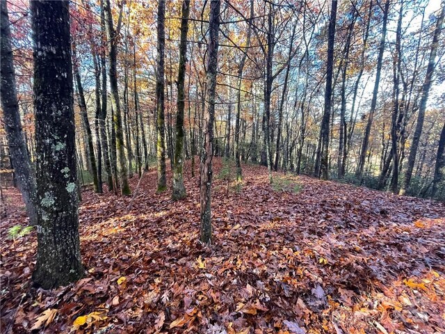9999 Sassafras Rd Unit 4, Cedar Mountain, NC 28718