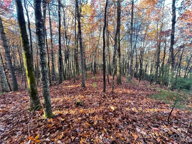 9999 Sassafras Rd Unit 4, Cedar Mountain, NC 28718