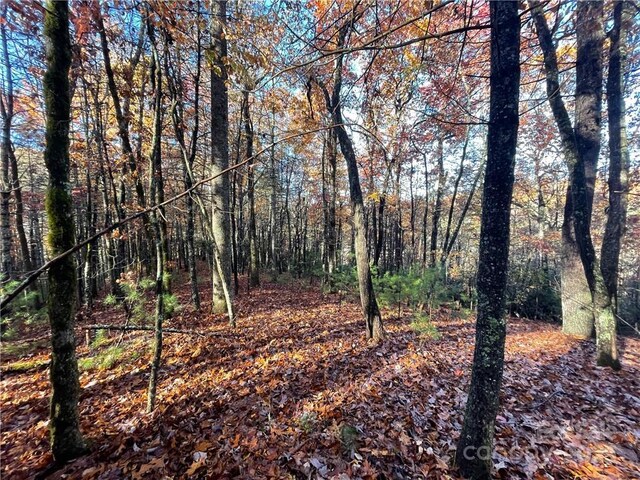 9999 Sassafras Rd Unit 4, Cedar Mountain, NC 28718