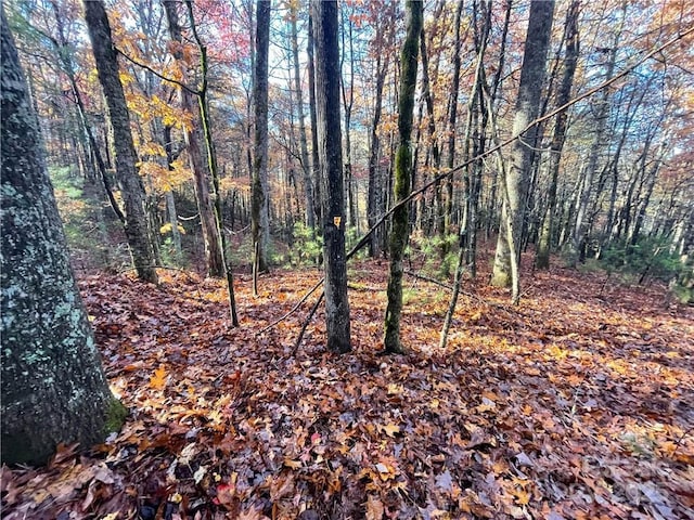 9999 Sassafras Rd Unit 4, Cedar Mountain, NC 28718