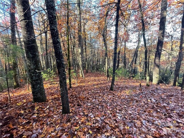 9999 Sassafras Rd Unit 4, Cedar Mountain, NC 28718