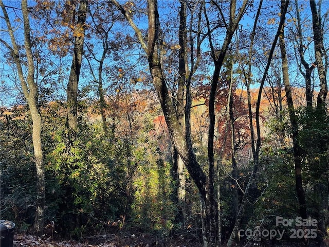 9999 Sassafras Rd Unit 4, Cedar Mountain, NC 28718