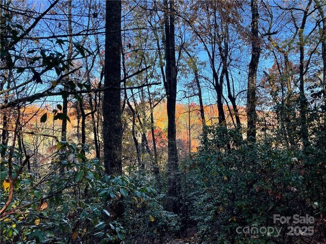 9999 Sassafras Rd Unit 4, Cedar Mountain, NC 28718