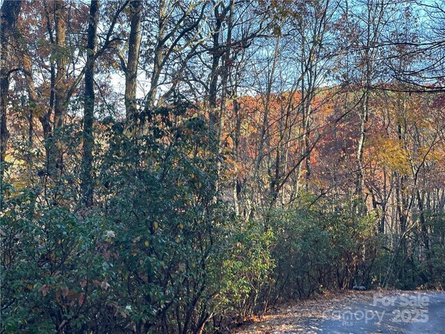 9999 Sassafras Rd Unit 4, Cedar Mountain, NC 28718