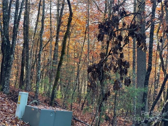 9999 Sassafras Rd Unit 4, Cedar Mountain, NC 28718