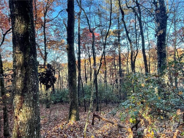 9999 Sassafras Rd Unit 4, Cedar Mountain, NC 28718