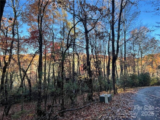 9999 Sassafras Rd Unit 4, Cedar Mountain, NC 28718