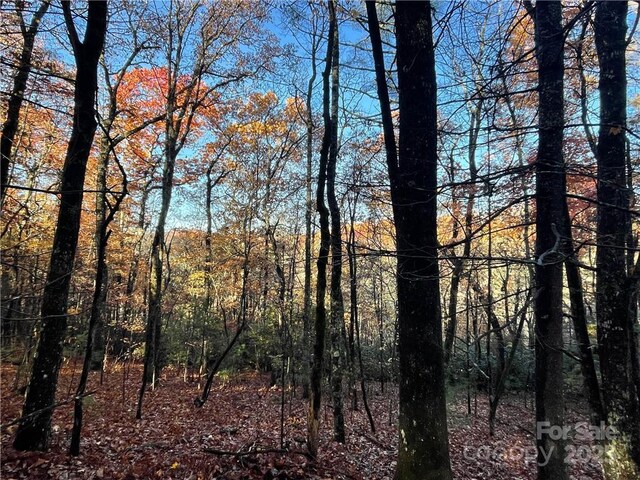 9999 Sassafras Rd Unit 4, Cedar Mountain, NC 28718