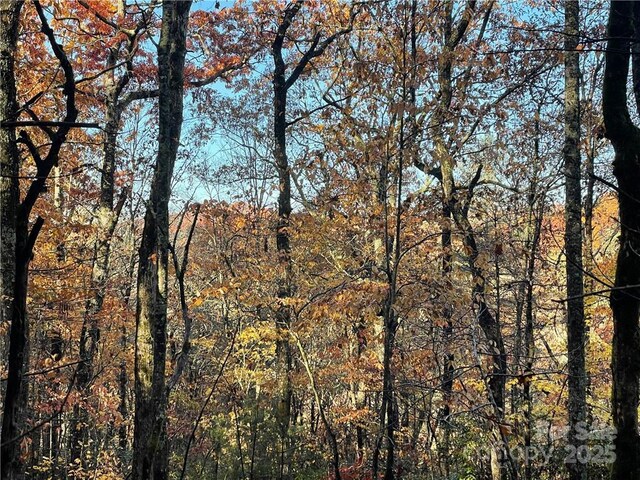 9999 Sassafras Rd Unit 4, Cedar Mountain, NC 28718