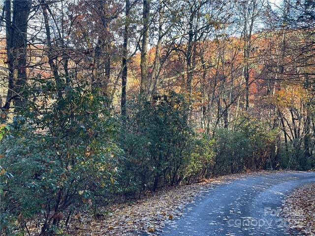 9999 Sassafras Rd Unit 4, Cedar Mountain, NC 28718