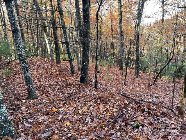 9999 Sassafras Rd Unit 4, Cedar Mountain, NC 28718