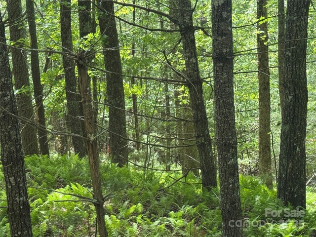 9999 Sassafras Rd Unit 4, Cedar Mountain, NC 28718