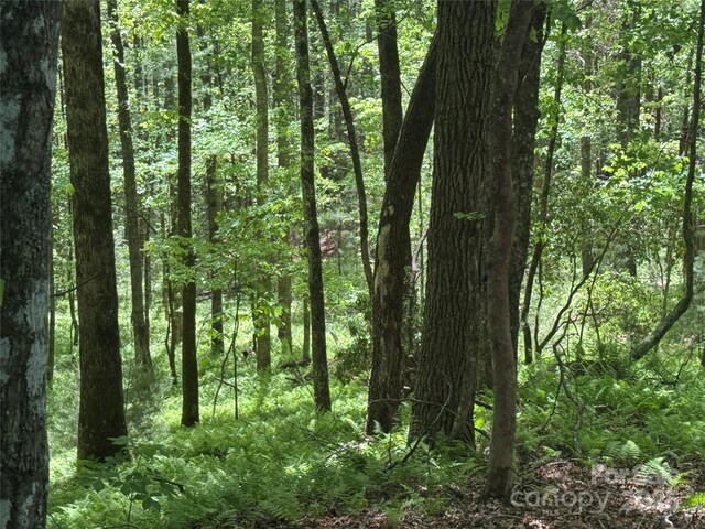 9999 Sassafras Rd Unit 4, Cedar Mountain, NC 28718