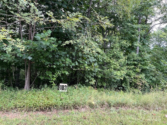 9999 Sassafras Rd Unit 4, Cedar Mountain, NC 28718