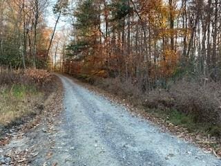 TRACTSOFFPLEASANTGROVE Pleasant Grove Rd Unit 10, Acres, Hendersonville NC, 28739 land for sale