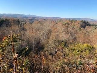 Listing photo 2 for TRACTSOFFPLEASANTGROVE Pleasant Grove Rd Unit 10, Acres, Hendersonville NC 28739