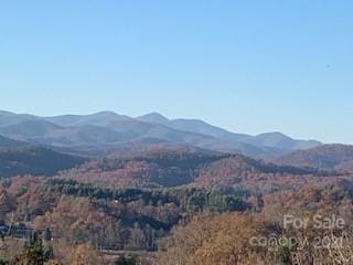 Listing photo 3 for TRACTSOFFPLEASANTGROVE Pleasant Grove Rd Unit 10, Acres, Hendersonville NC 28739