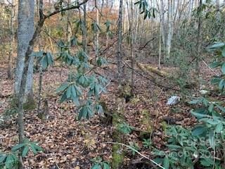 TRACTSOFFPLEASANTGROVE Pleasant Grove Rd Unit Total 10.01Acres, Hendersonville NC, 28739 land for sale