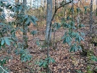 Listing photo 2 for TRACTSOFFPLEASANTGROVE Pleasant Grove Rd Unit Total 10.01Acres, Hendersonville NC 28739