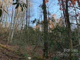 Listing photo 3 for TRACTSOFFPLEASANTGROVE Pleasant Grove Rd Unit Total 10.01Acres, Hendersonville NC 28739