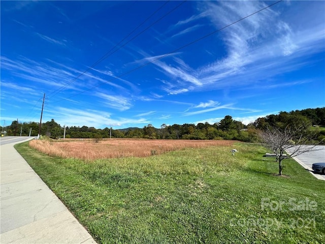 99999 Bett Stroud Rd Unit 2, Weaverville, NC 28787 - photo 12