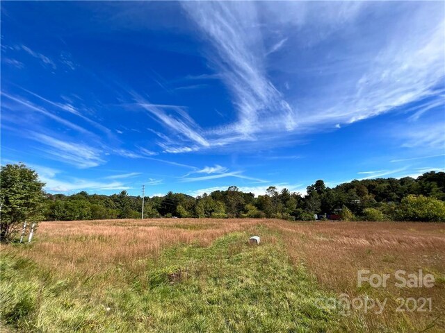 99999 Bett Stroud Rd Unit 2, Weaverville, NC 28787 - photo 20