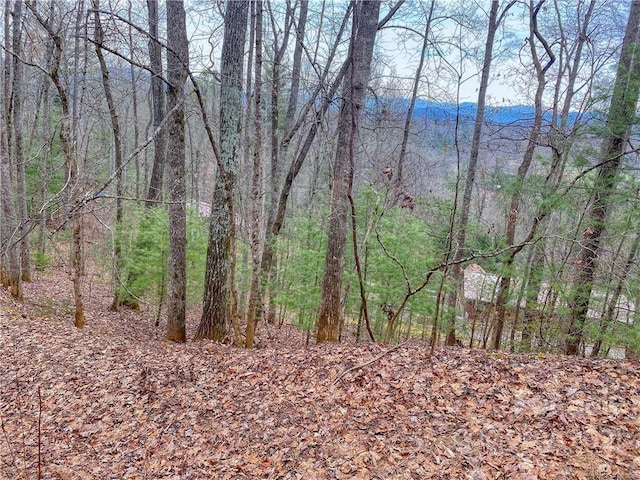 00 Indigo Ln Unit 122, Franklin NC, 28734 land for sale