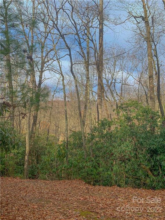 82 Old Hickory Trl Unit 150, Hendersonville NC, 28739 land for sale