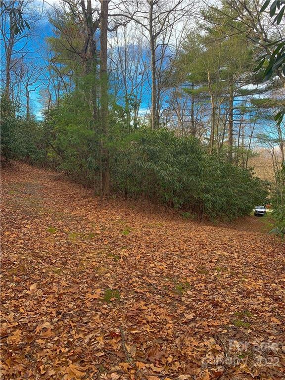 Listing photo 2 for 82 Old Hickory Trl Unit 150, Hendersonville NC 28739