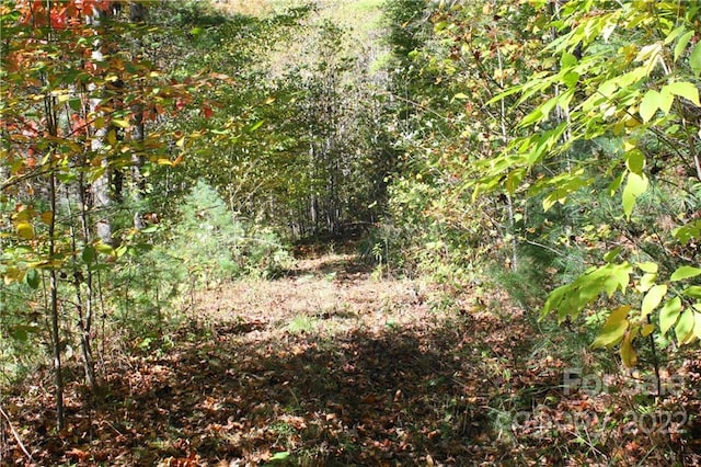 Listing photo 2 for 444 Culvin Creek Rd Unit 145Acres, Marshall NC 28753