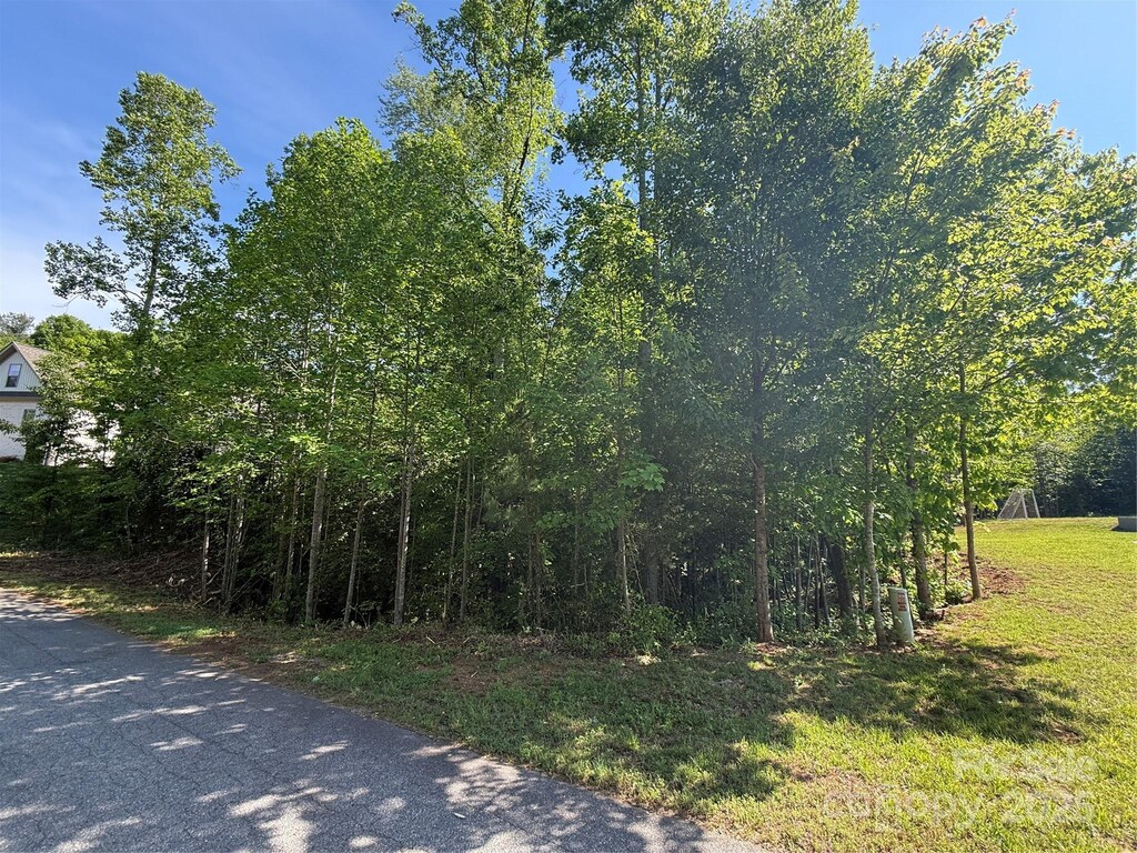 LOT274 Whitman Ct Unit 274, Taylorsville, NC 28681