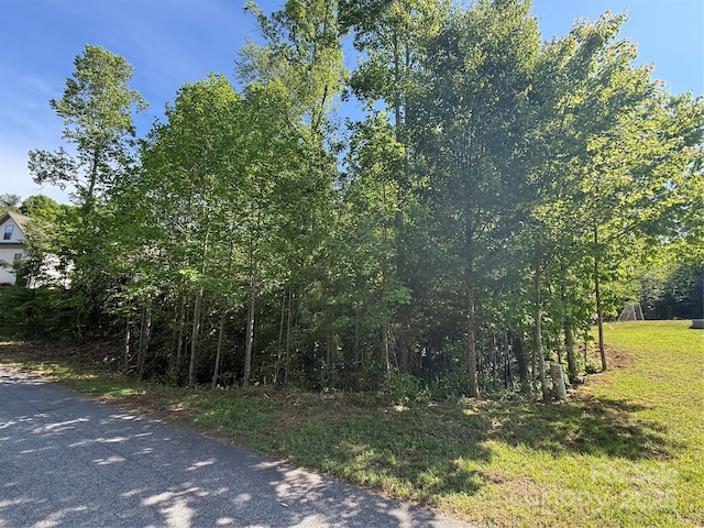 LOT274 Whitman Ct Unit 274, Taylorsville, NC 28681