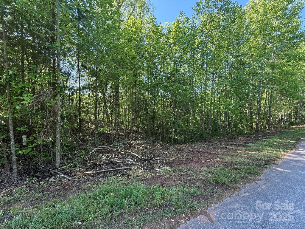 LOT248 Riley Dr Unit 248, Taylorsville, NC 28681 - photo 2